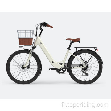 EU ENTERATION TREK HYBRID WEMPE BIKE